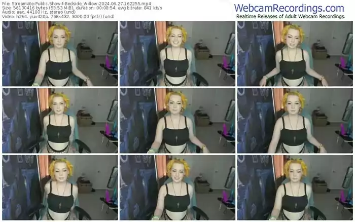 streamate-bedside_willow-06-27-2024-16-22-55