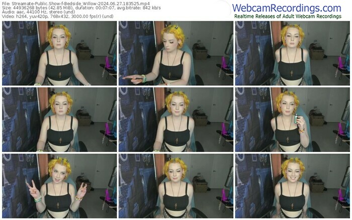 streamate-bedside_willow-06-27-2024-18-35-25