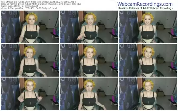 streamate-bedside_willow-06-27-2024-18-58-27