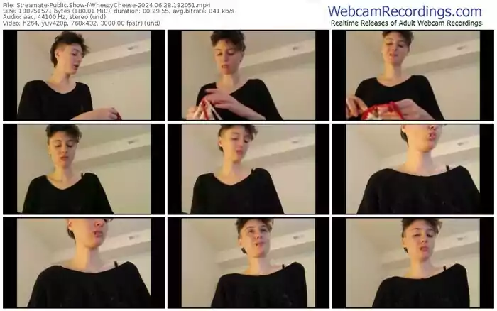 streamate-wheezycheese-06-28-2024-18-20-51