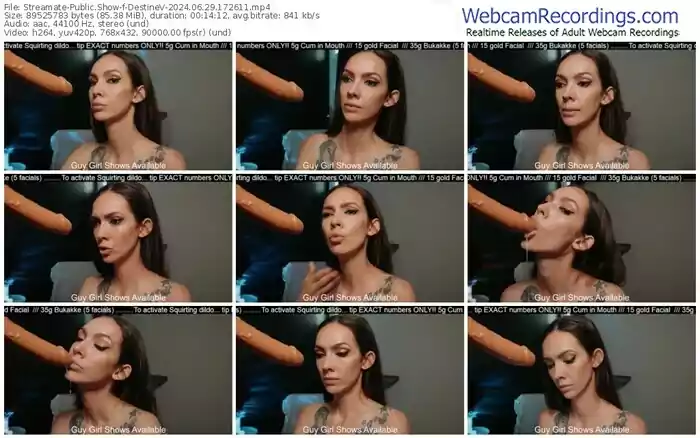 streamate-destinev-06-29-2024-17-26-11