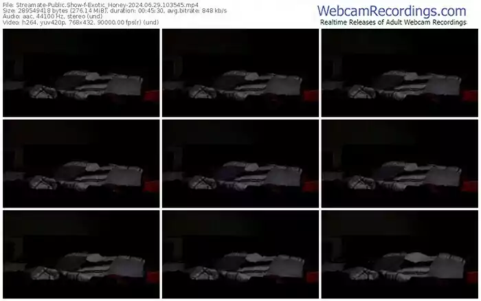 streamate-exotic_honey-06-29-2024-10-35-45