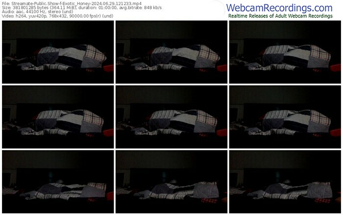 streamate-exotic_honey-06-29-2024-12-12-33