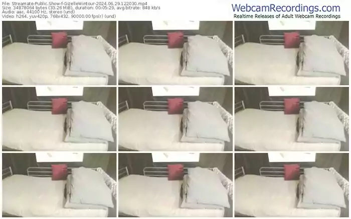 streamate-gizellewintour-06-29-2024-12-20-30