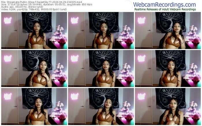 streamate-sweetsky77-06-29-2024-23-43-05