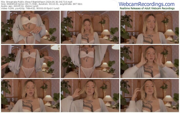 streamate-bambifawn-06-30-2024-04-17-14