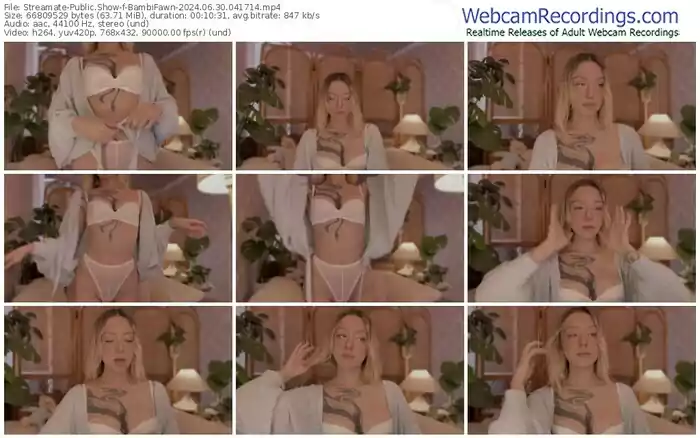 streamate-bambifawn-06-30-2024-04-17-14