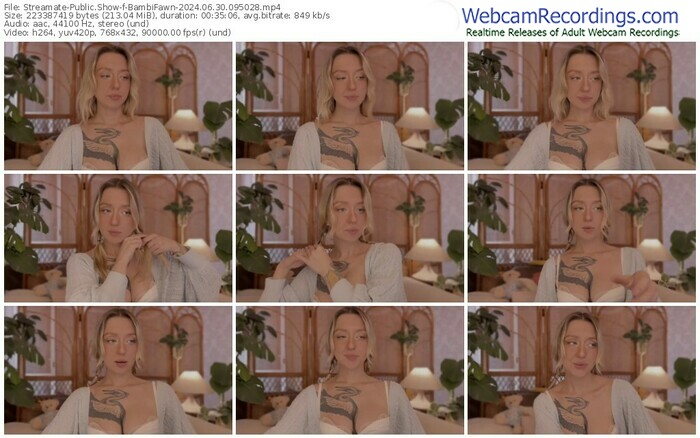 streamate-bambifawn-06-30-2024-09-50-28