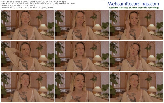 streamate-bambifawn-07-01-2024-07-05-39