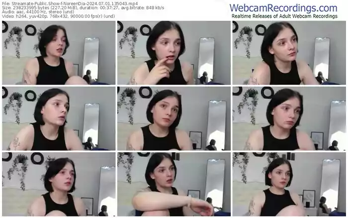 streamate-noreendia-07-01-2024-13-50-43