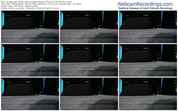 streamate-baileysparx-07-02-2024-08-04-11