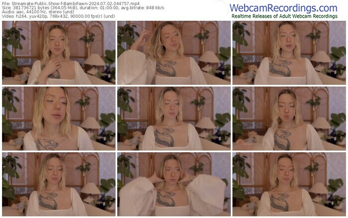 streamate-bambifawn-07-02-2024-04-47-57