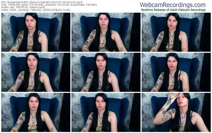 streamate-cleadark-07-04-2024-23-11-41