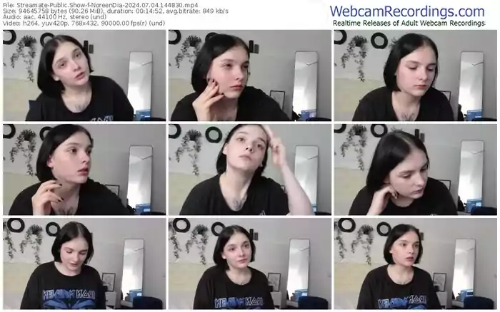 streamate-noreendia-07-04-2024-14-48-30