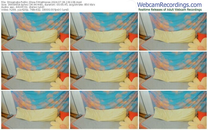 streamate-miamoose-07-06-2024-19-11-08