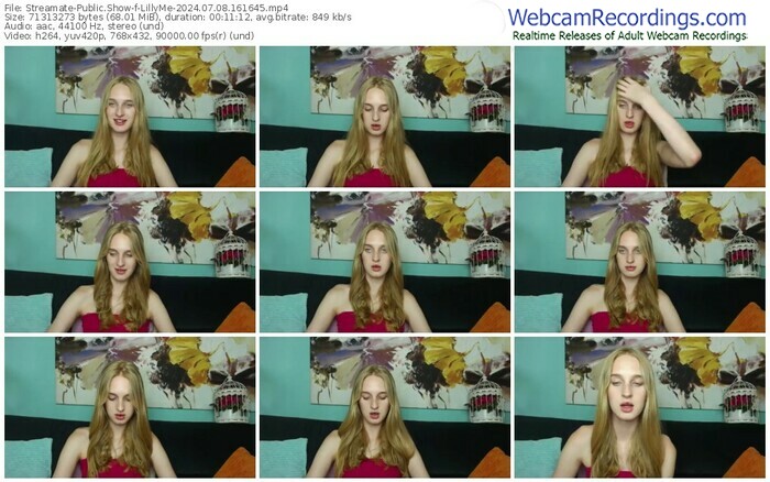 streamate-lillyme-07-08-2024-16-16-45