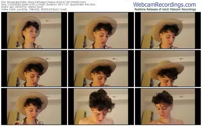 streamate-wheezycheese-07-08-2024-23-44-00