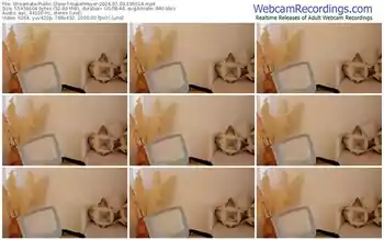 streamate-isabelmeyer-07-09-2024-19-50-14