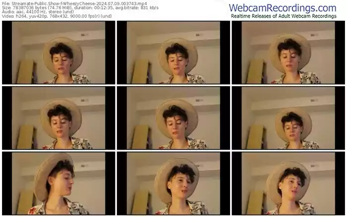 streamate-wheezycheese-07-09-2024-00-37-43