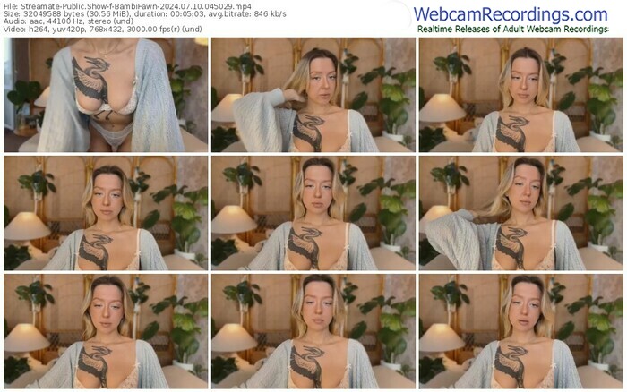 streamate-bambifawn-07-10-2024-04-50-29