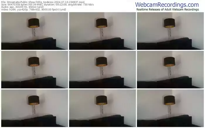 streamate-elle_godessx-07-10-2024-23-48-37