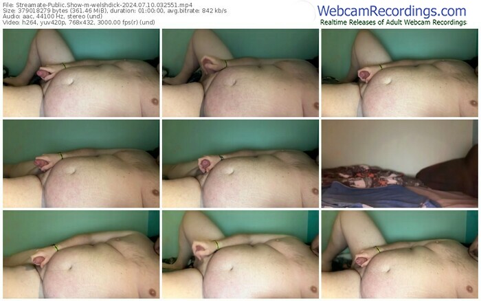 streamate-welshdick-07-10-2024-03-25-51