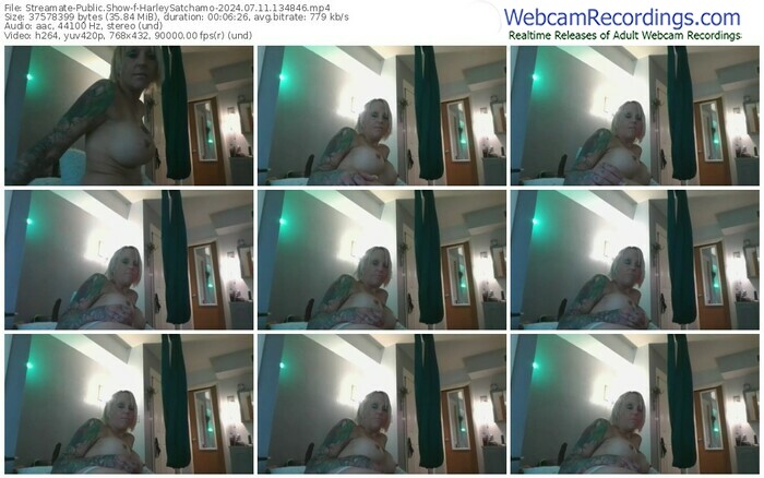 streamate-harleysatchamo-07-11-2024-13-48-46