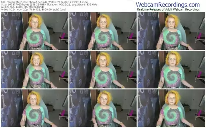 streamate-bedside_willow-07-12-2024-22-35-11