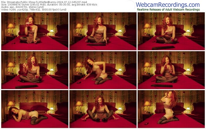 streamate-littleredbunny-07-12-2024-04-52-37