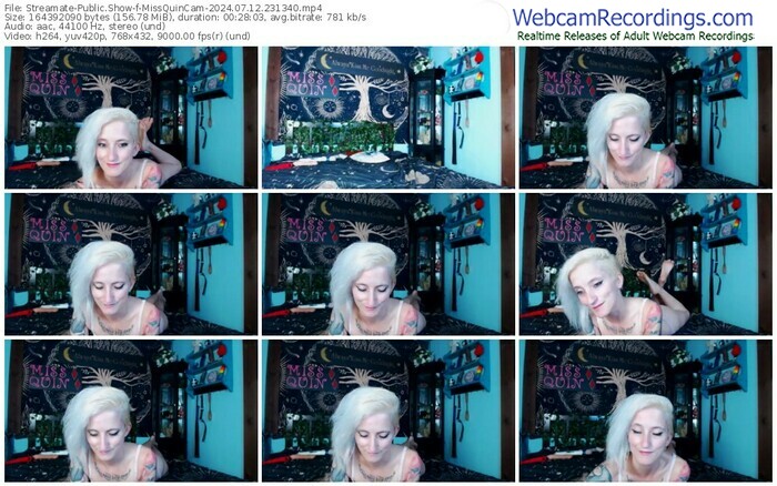 streamate-missquincam-07-12-2024-23-13-40