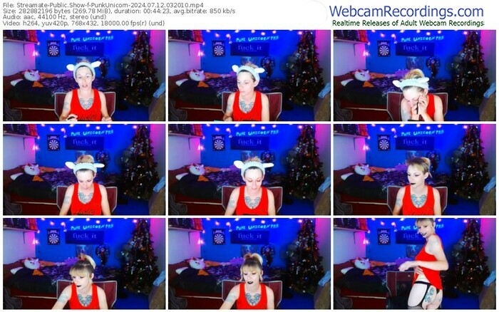 streamate-punkunicorn-07-12-2024-03-20-10