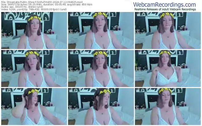 streamate-sinfultitsdd-07-12-2024-09-46-25