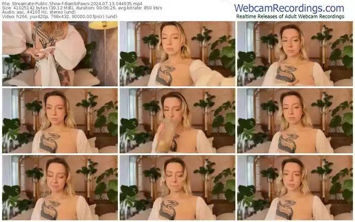 streamate-bambifawn-07-13-2024-04-49-35