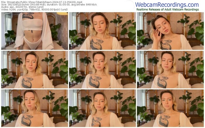 streamate-bambifawn-07-13-2024-05-42-01