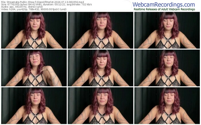 streamate-glassofmerlot-07-13-2024-08-19-56