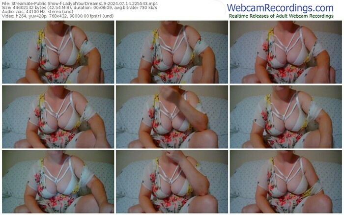 streamate-ladyofyourdreams19-07-14-2024-22-55-43