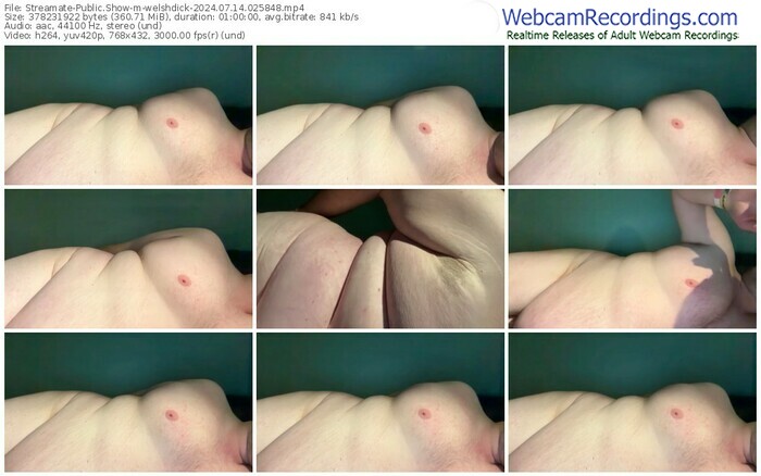 streamate-welshdick-07-14-2024-02-58-48