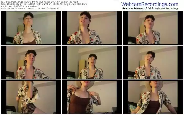 streamate-wheezycheese-07-15-2024-03-44-26