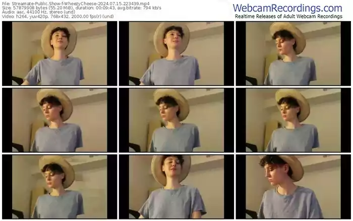 streamate-wheezycheese-07-15-2024-22-34-39