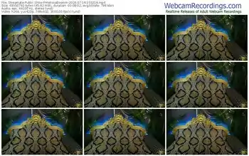 streamate-melissaboomm-07-16-2024-15-52-18