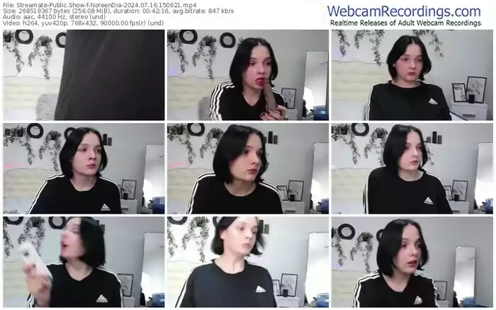 streamate-noreendia-07-16-2024-15-06-21