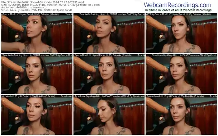 streamate-destinev-07-17-2024-20-28-31