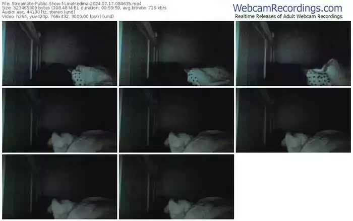 streamate-linamedina-07-17-2024-08-46-35