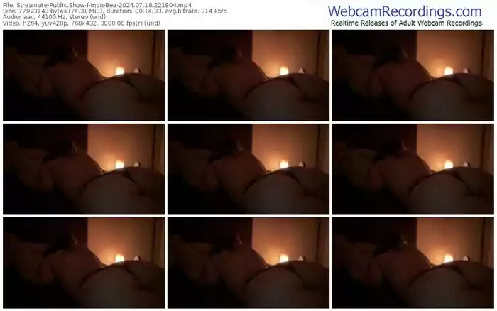 streamate-indiebea-07-18-2024-22-18-04