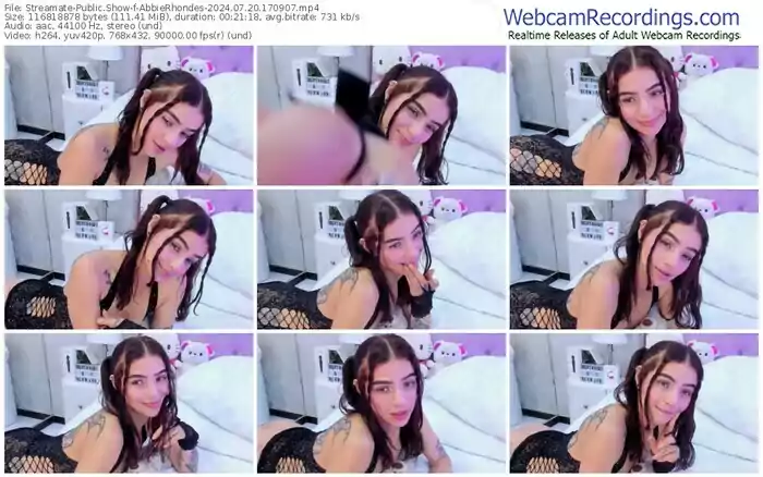 streamate-abbierhondes-07-20-2024-17-09-07