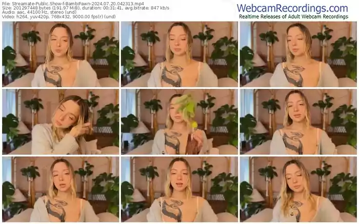 streamate-bambifawn-07-20-2024-04-23-13