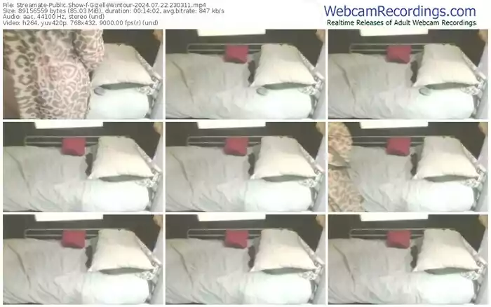 streamate-gizellewintour-07-22-2024-23-03-11