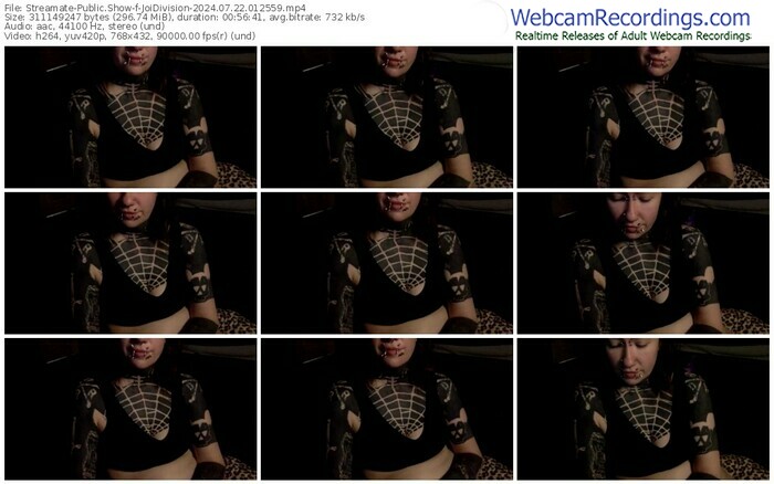 streamate-joidivision-07-22-2024-01-25-59