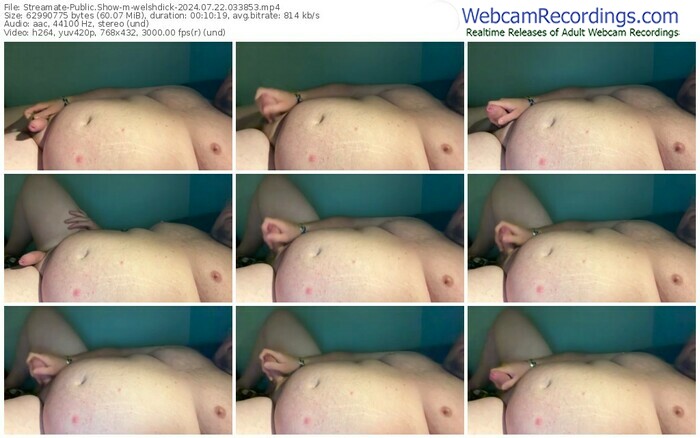 streamate-welshdick-07-22-2024-03-38-53