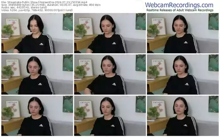 streamate-noreendia-07-23-2024-15-03-34